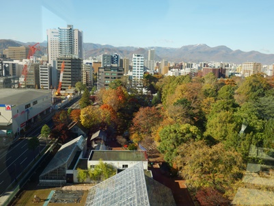 c0204725_22503142.jpg