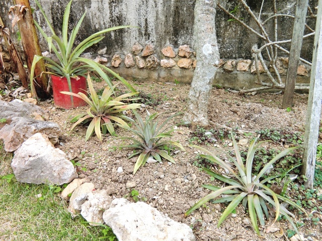 f0325326_02151163.jpg