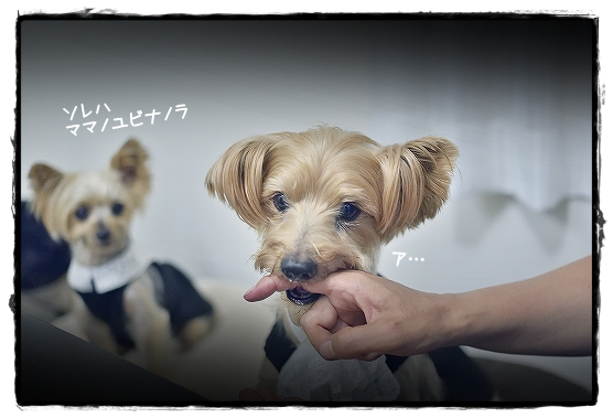 d0179828_00580331.png