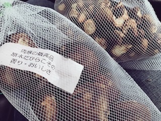 c0051529_17391611.jpg