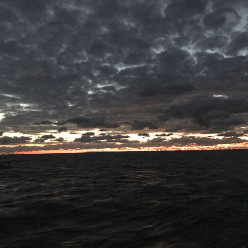 c0312429_00053105.gif