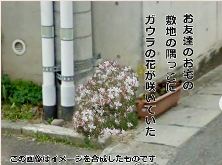 e0033229_18322986.jpg