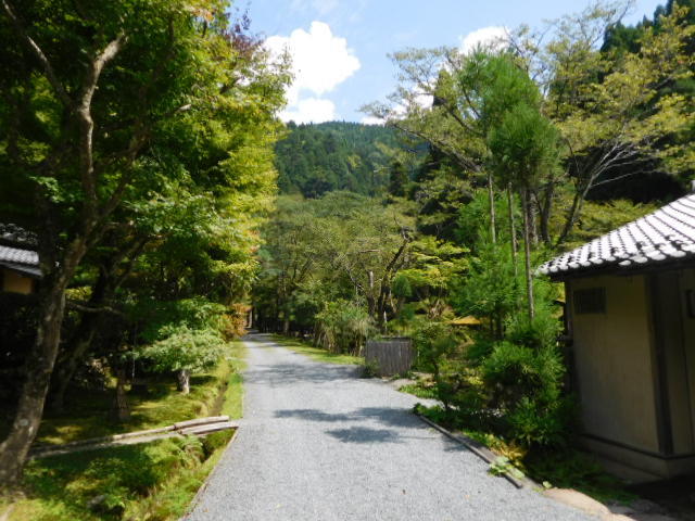 d0106134_21515759.jpg
