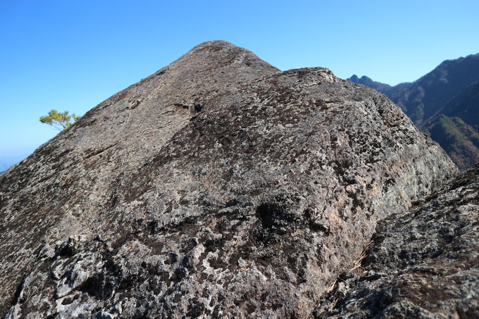 e0272335_1624254.jpg