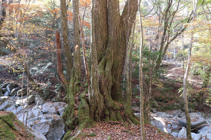 e0272335_17592348.jpg