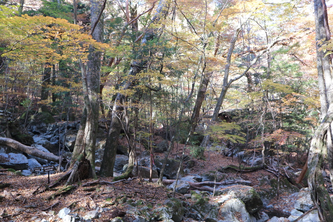 初冬の神掛岩コースの紅葉は？_e0272335_1815147.jpg