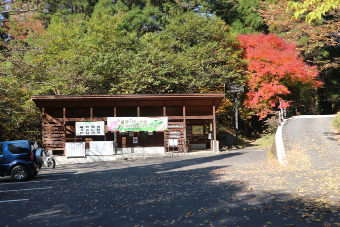 初冬の神掛岩コースの紅葉は？_e0272335_19141643.jpg