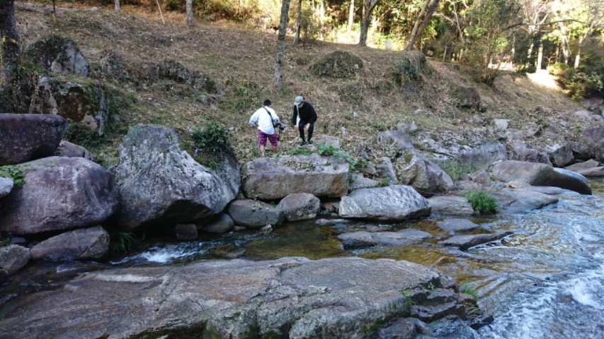 Nice Shooting!!!_c0167336_14515030.jpg