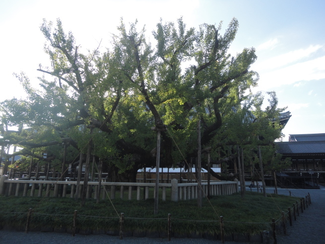 d0359338_17313718.jpg