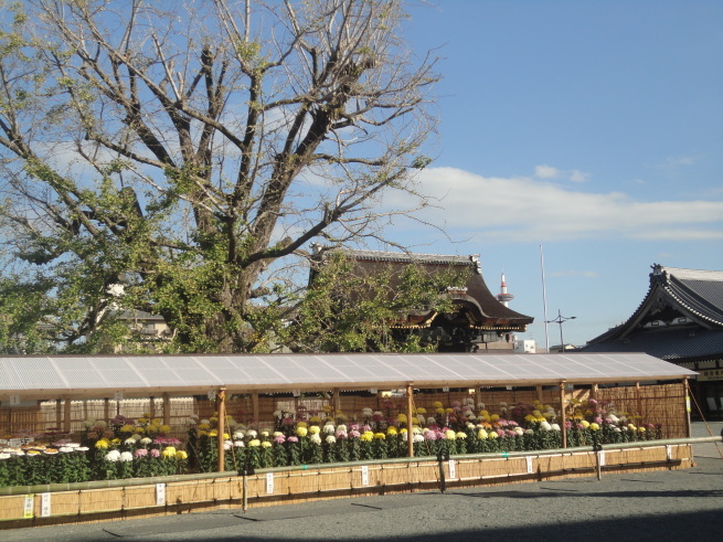 d0359338_17362643.jpg