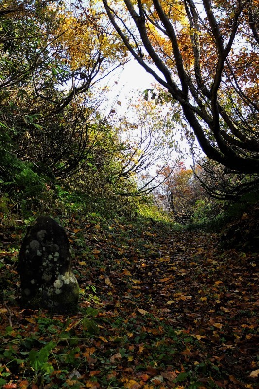 d0347140_08175147.jpg