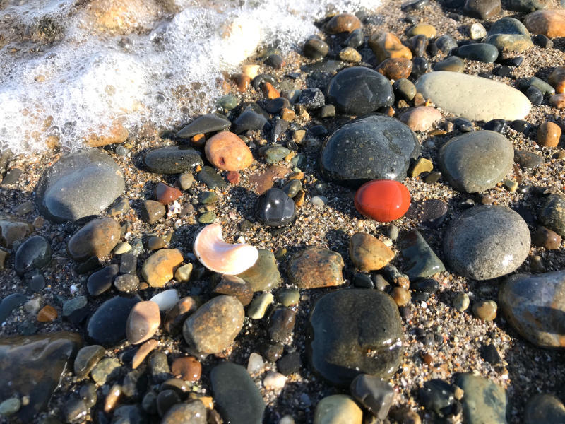 海で拾った石 石拾い棒で石拾い Azukki的