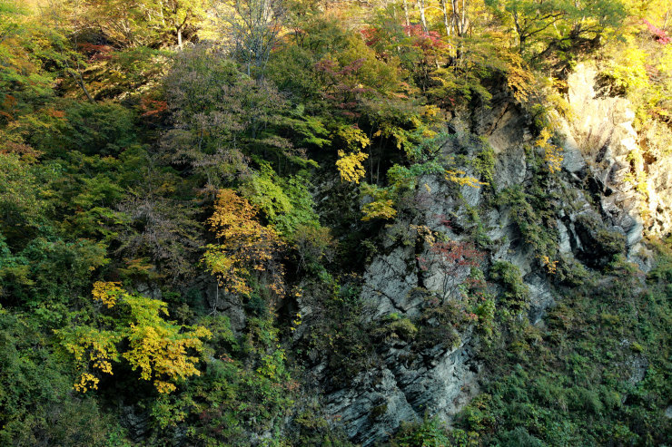 越後湯沢で秋を堪能　Vol.2  柱状節理の岩肌と滝_a0120949_06035944.jpg