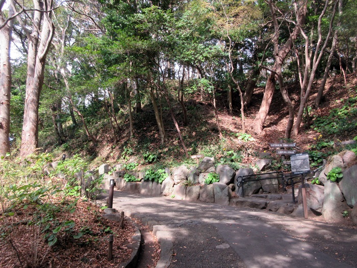b0009849_1026397.jpg