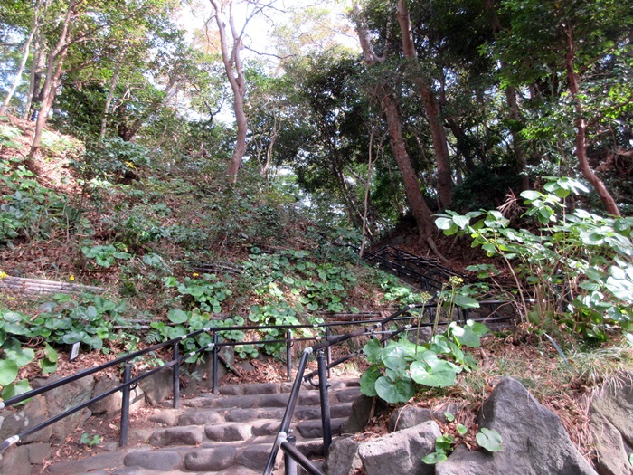 b0009849_10303231.jpg