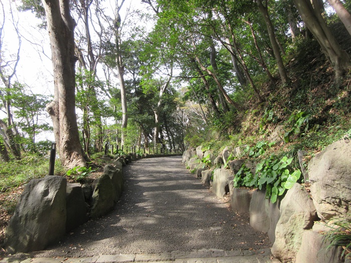 b0009849_1030457.jpg