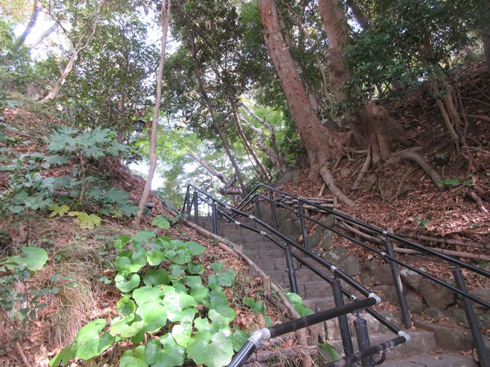 b0009849_10305316.jpg