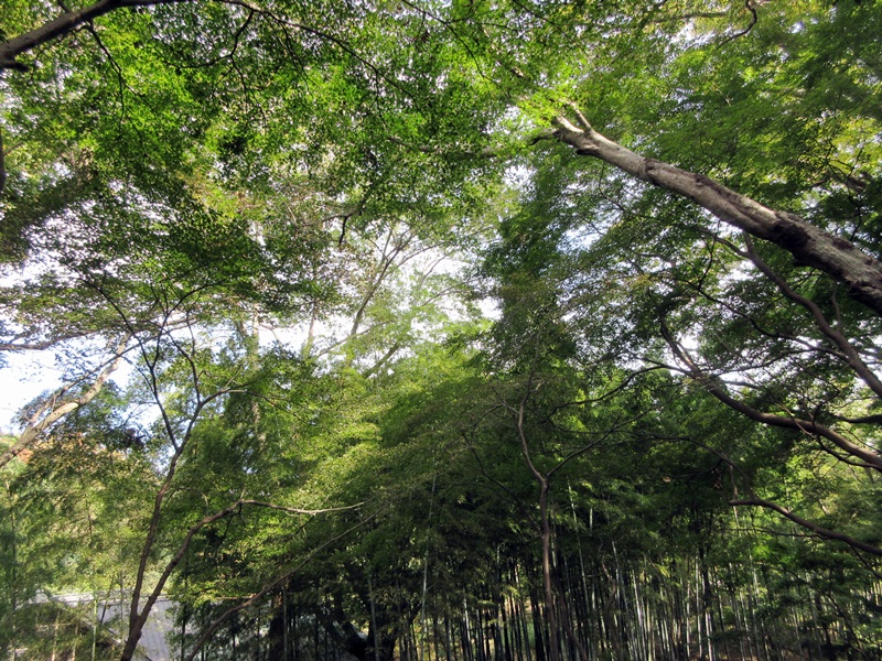 b0009849_10315446.jpg