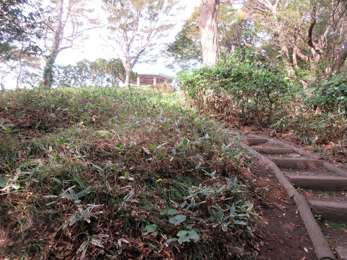 b0009849_10322089.jpg
