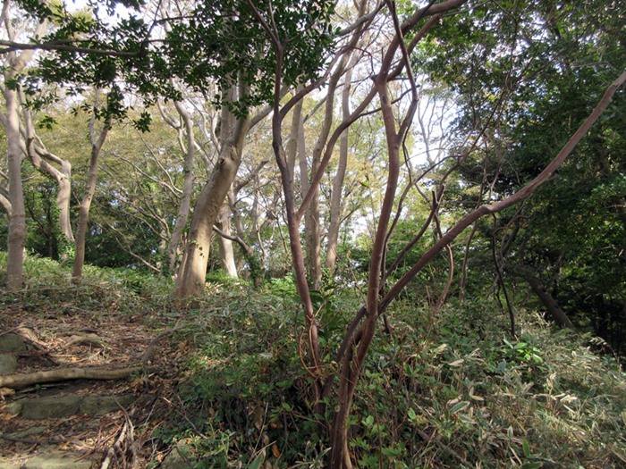 b0009849_103236100.jpg