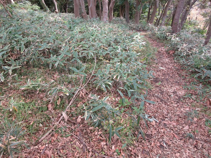 b0009849_10324542.jpg