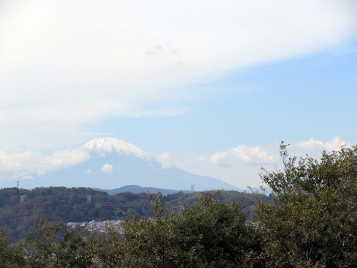 b0009849_1036863.jpg