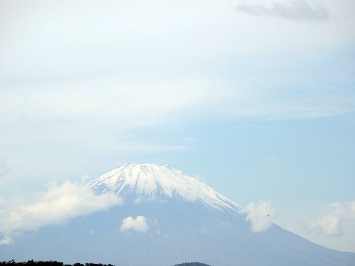 b0009849_10393459.jpg