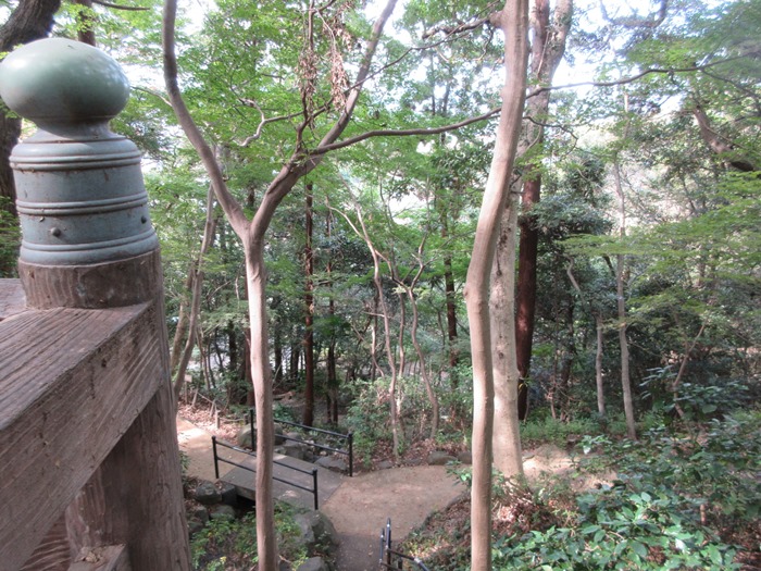 b0009849_1043183.jpg