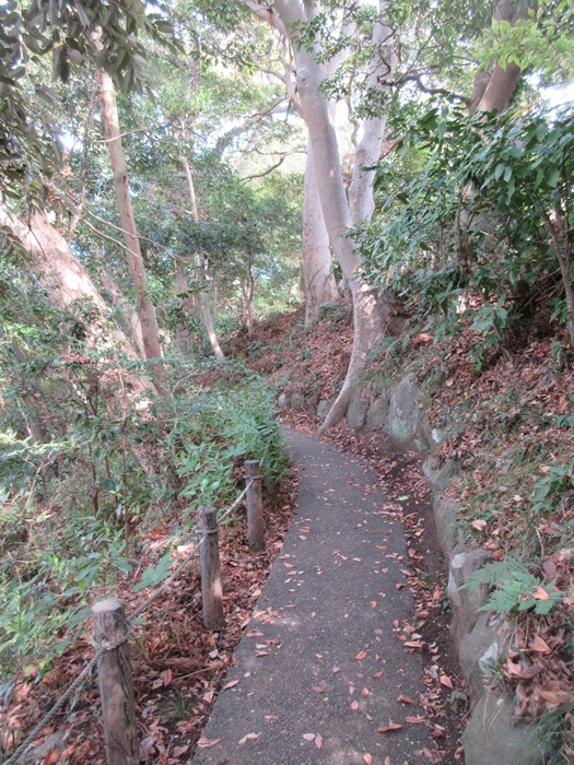 b0009849_10442653.jpg