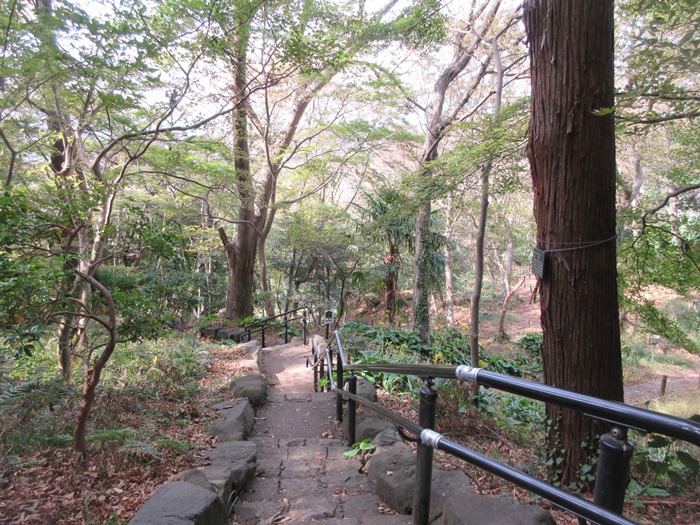 b0009849_10443736.jpg