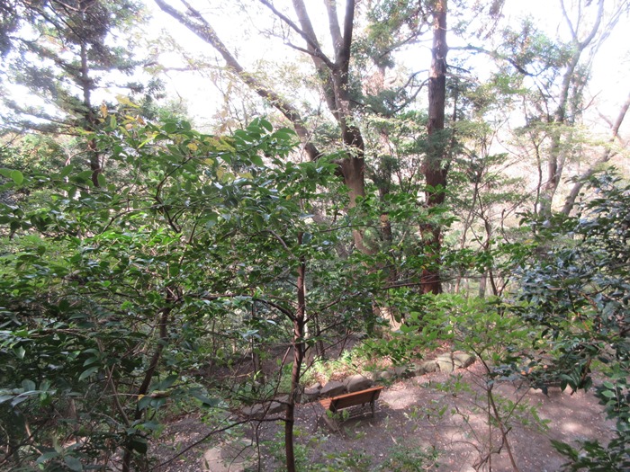 b0009849_1044982.jpg
