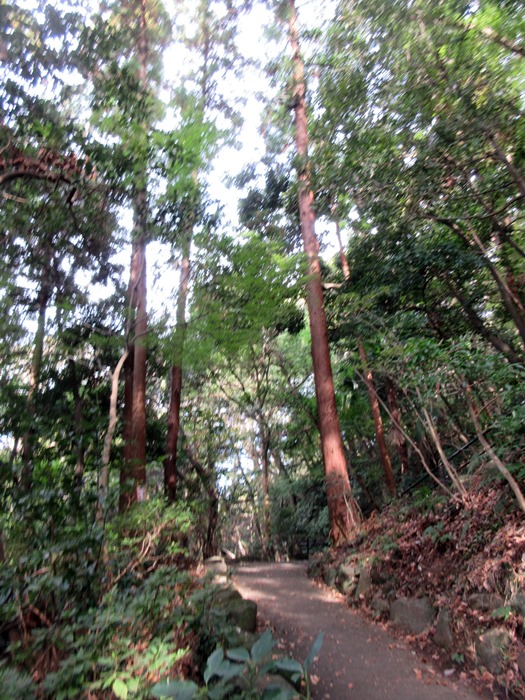 b0009849_10455148.jpg