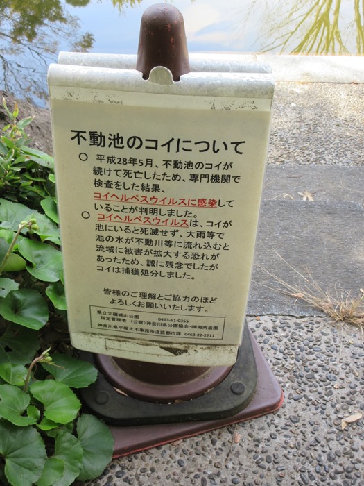 b0009849_10491691.jpg