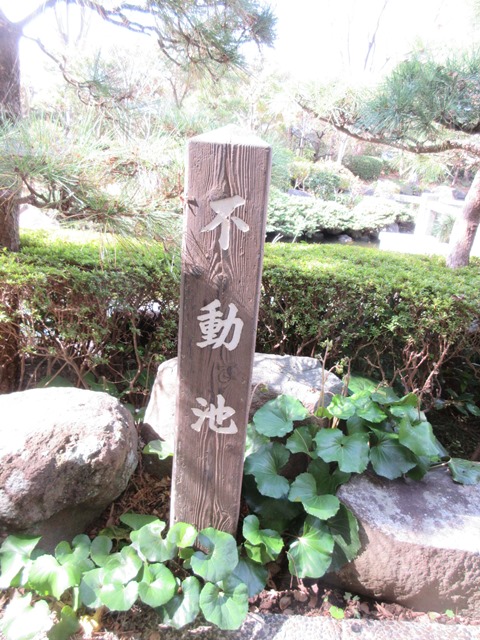 b0009849_10505567.jpg