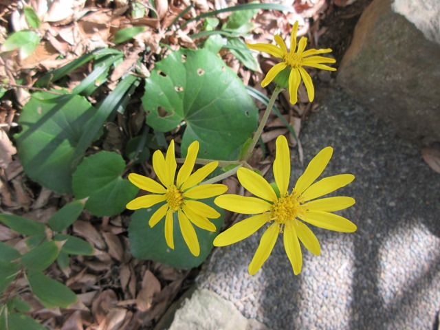 b0009849_1051890.jpg