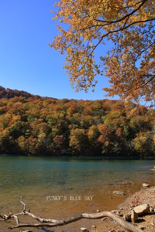 c0145250_10042832.jpg