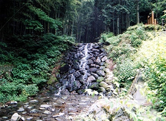 a0290852_17253186.jpg