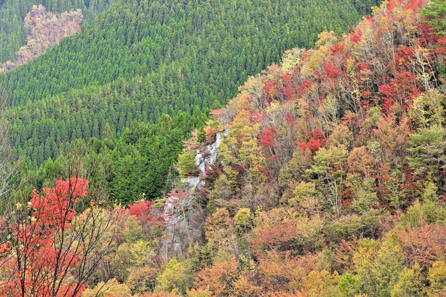 d0286954_05473159.jpg