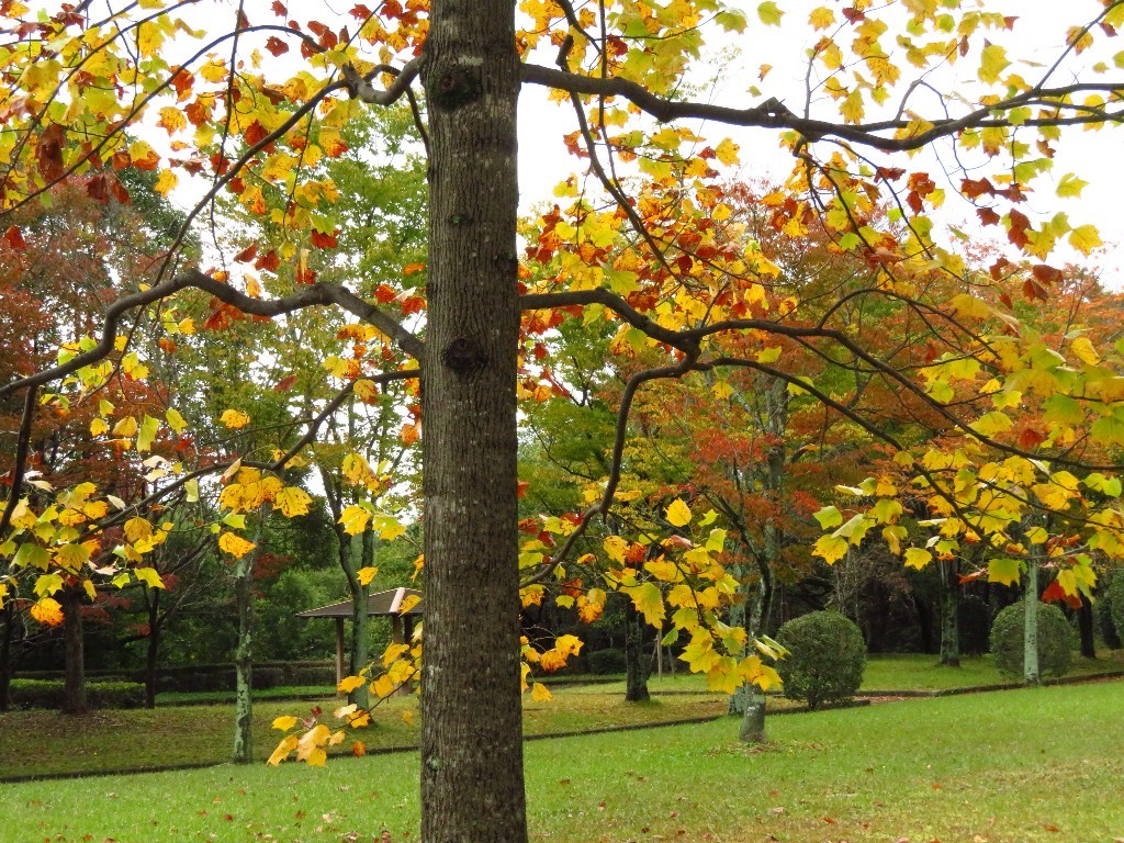 a0018655_08552185.jpg