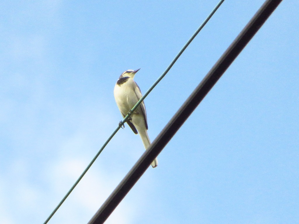 a0018655_08552271.jpg