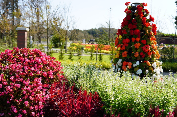 ふなばしアンデルセン公園☆散策　1_d0152261_14311970.jpg