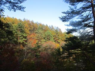 草津穴守稲荷神社にて　招福の砂をGETして参りましたぁ☆☆☆_d0045362_10254617.jpg