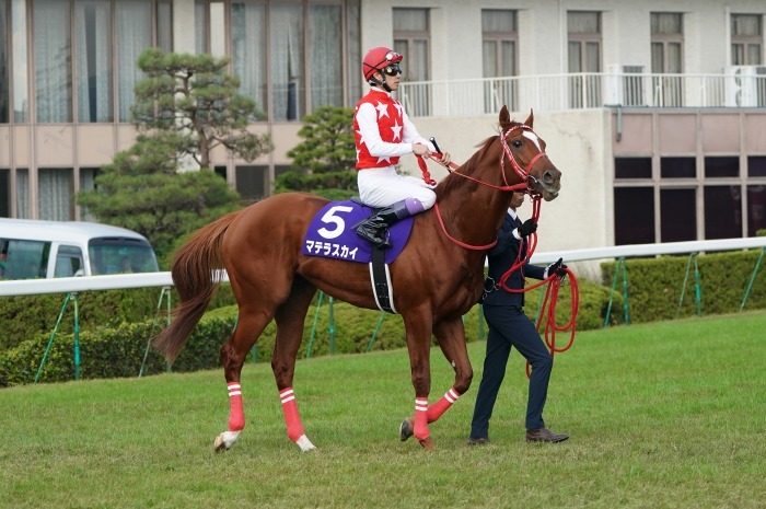 第18回JBCは京都競馬場で開催、第1弾は第10レース JBCスプリント_b0173867_00575642.jpg