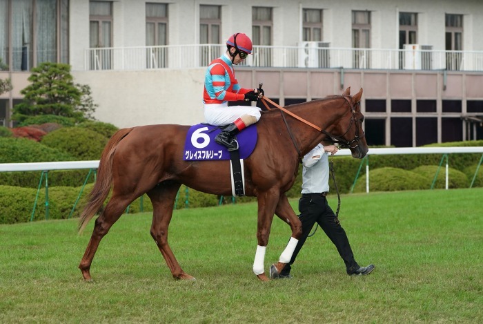 第18回JBCは京都競馬場で開催、第1弾は第10レース JBCスプリント_b0173867_00581156.jpg