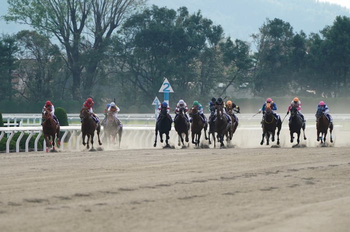 第18回JBCは京都競馬場で開催、第1弾は第10レース JBCスプリント_b0173867_00591155.jpg