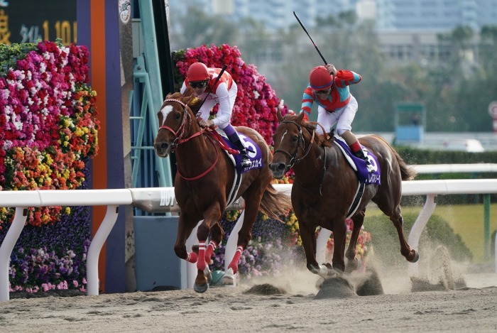 第18回JBCは京都競馬場で開催、第1弾は第10レース JBCスプリント_b0173867_00592839.jpg