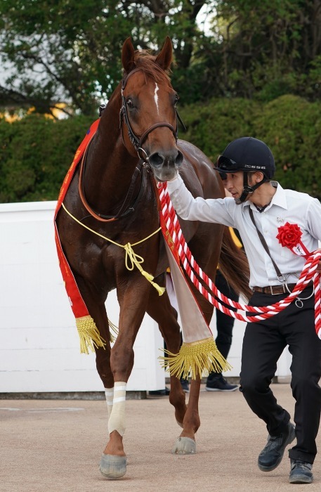 第18回JBCは京都競馬場で開催、第1弾は第10レース JBCスプリント_b0173867_01003646.jpg