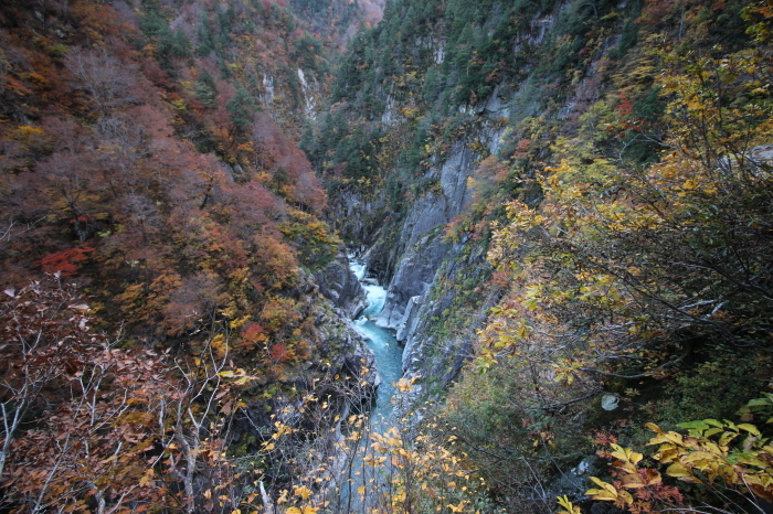 f0223068_08335648.jpg