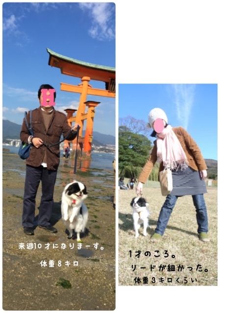 マヨおぢさん_f0253568_11564186.jpeg