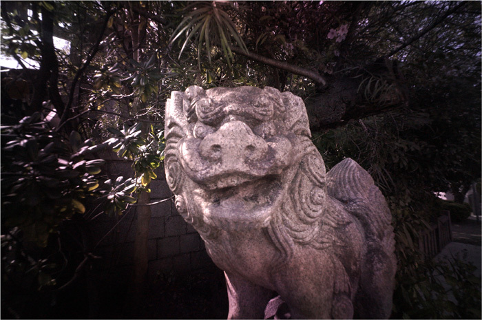 c0168172_12230767.jpg